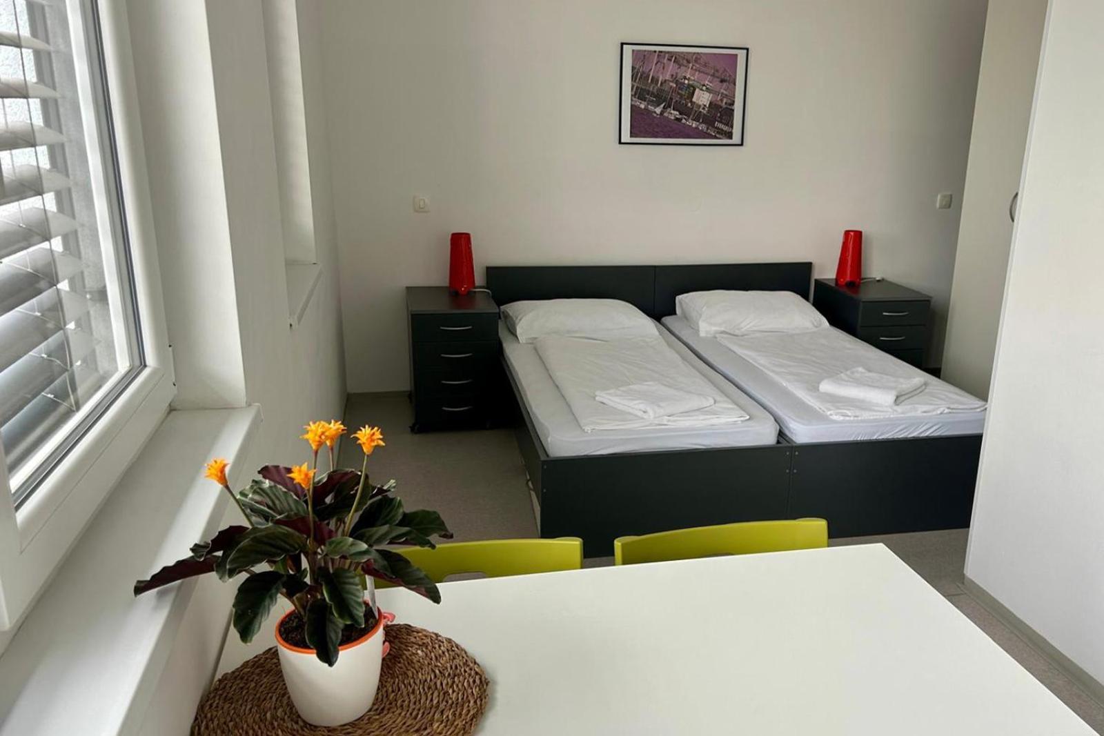 Hostel Villa Domus Koper Exteriér fotografie
